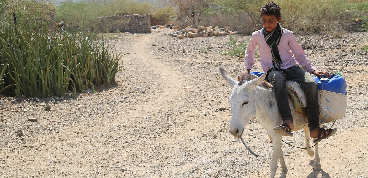 a young yemeni boy called ahmed riding at the back of a white donkey while holding a water container