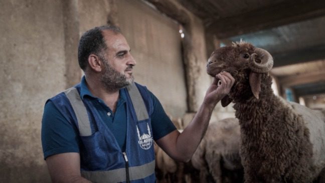 islamic relief staff stroking goats chin animal welfare
