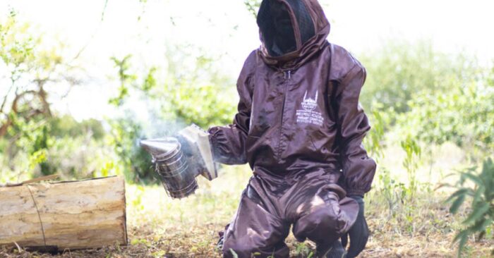 a person in a bee suit spraying onto a bees home beekeeping