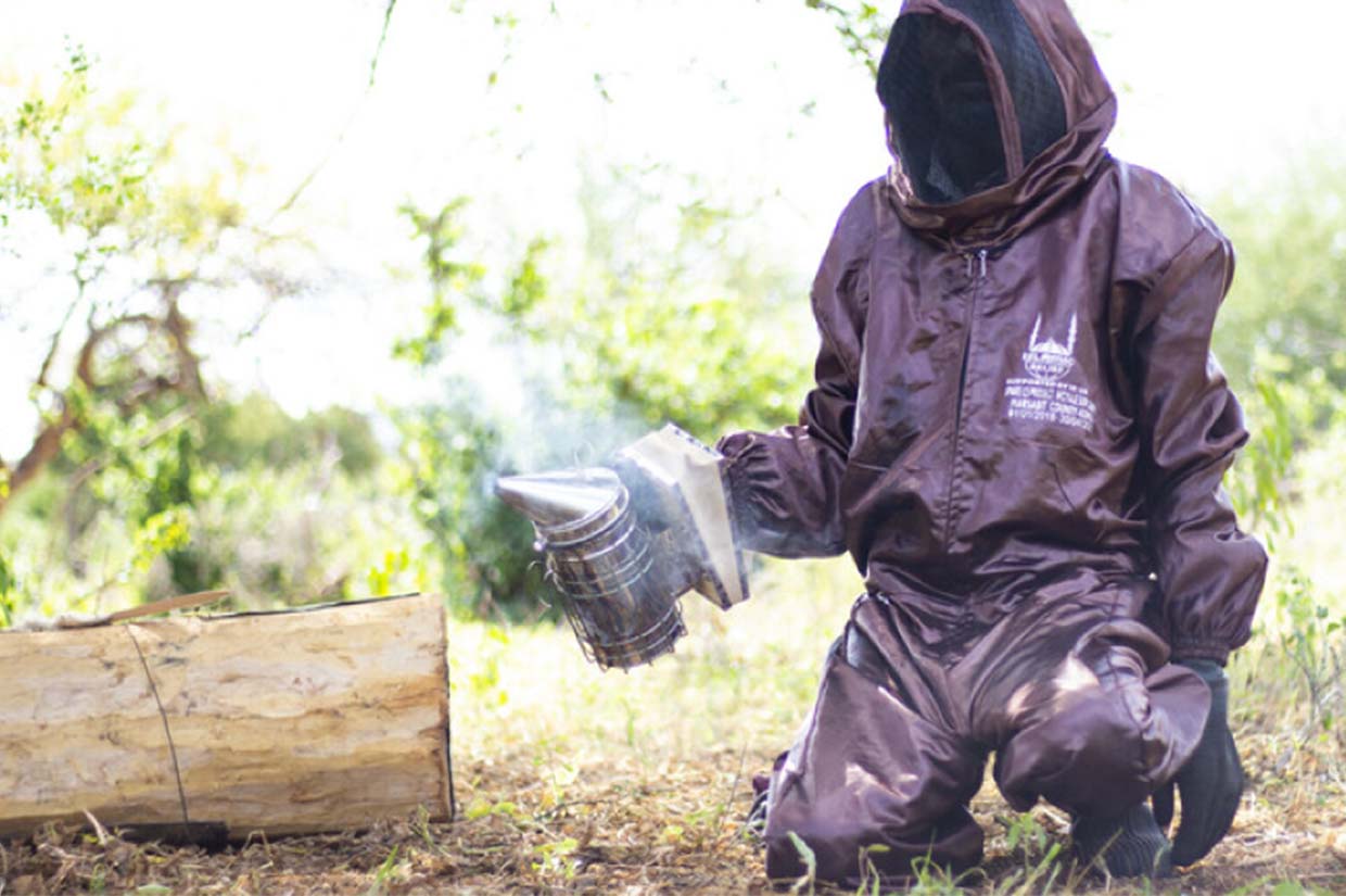 a person in a bee suit spraying onto a bees home beekeeping