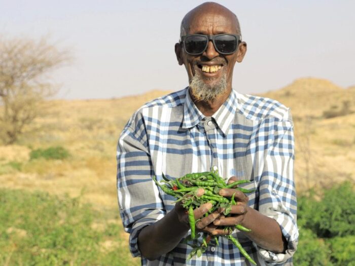 a somalian man wearing sunglasses holding a pile of green chillis in his hand