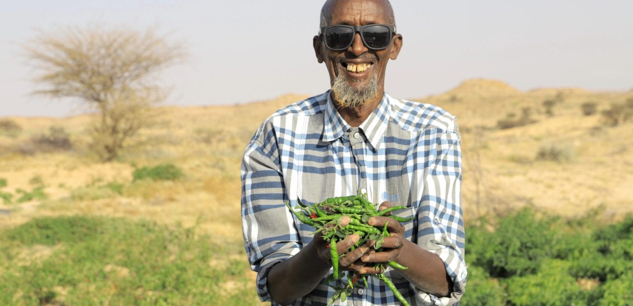 a somalian man wearing sunglasses holding a pile of green chillis in his hand