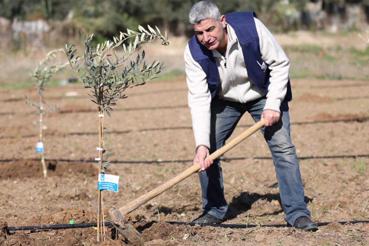 man in palestine digging the soil to plant trees